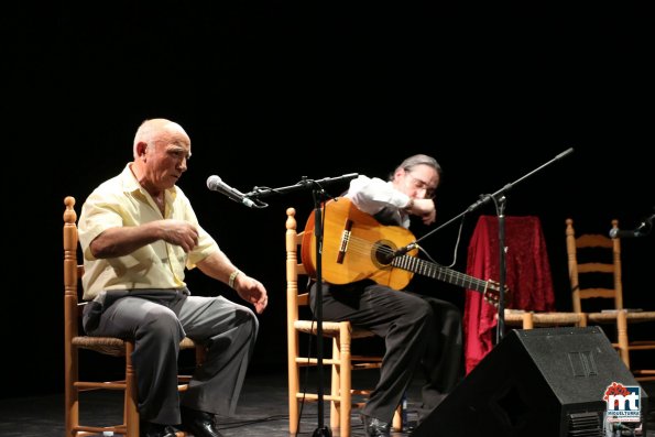 Espectaculo Flamenco Especial Ferias-2015-09-10-fuente Area de Comunicación Municipal-049