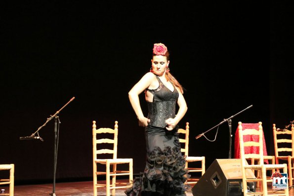 Espectaculo Flamenco Especial Ferias-2015-09-10-fuente Area de Comunicación Municipal-063