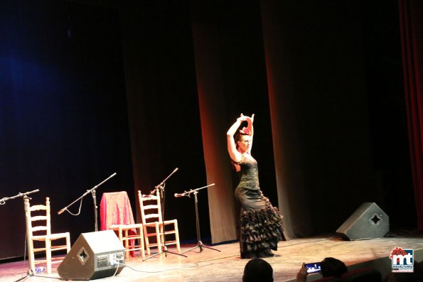 Espectaculo Flamenco Especial Ferias-2015-09-10-fuente Area de Comunicación Municipal-073