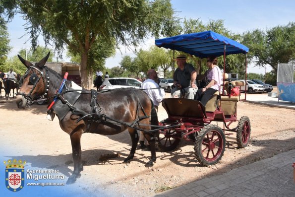 pasacalles-caballo-ferias2024-Fuente imagen Area Comunicación Ayuntamiento de Miguelturra-001