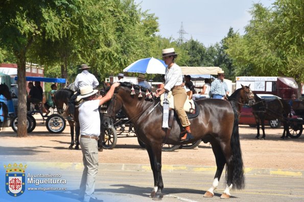 pasacalles-caballo-ferias2024-Fuente imagen Area Comunicación Ayuntamiento de Miguelturra-012