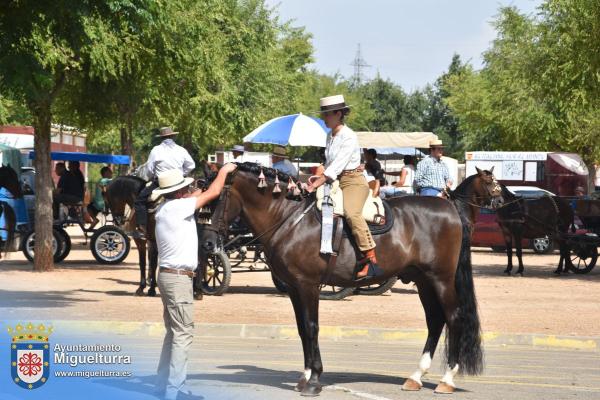 pasacalles-caballo-ferias2024-Fuente imagen Area Comunicación Ayuntamiento de Miguelturra-012