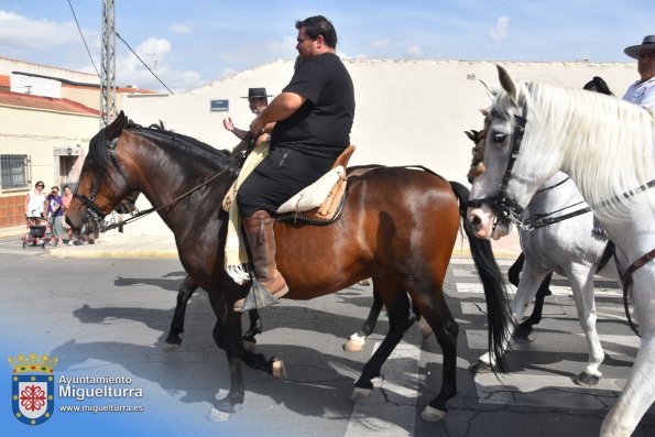 pasacalles-caballo-ferias2024-Fuente imagen Area Comunicación Ayuntamiento de Miguelturra-032