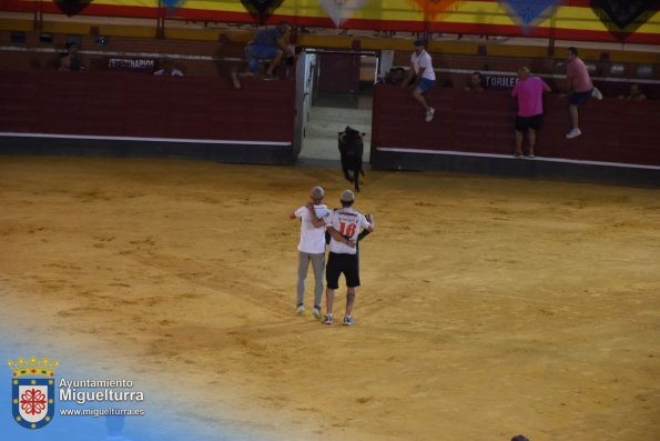 toros y vaquilla ferias 2024-Fuente imagen Area Comunicación Ayuntamiento de Miguelturra-004