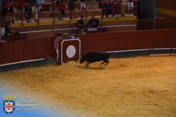 toros y vaquilla ferias 2024-Fuente imagen Area Comunicación Ayuntamiento de Miguelturra-007