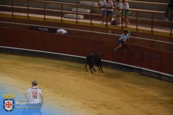 toros y vaquilla ferias 2024-Fuente imagen Area Comunicación Ayuntamiento de Miguelturra-010