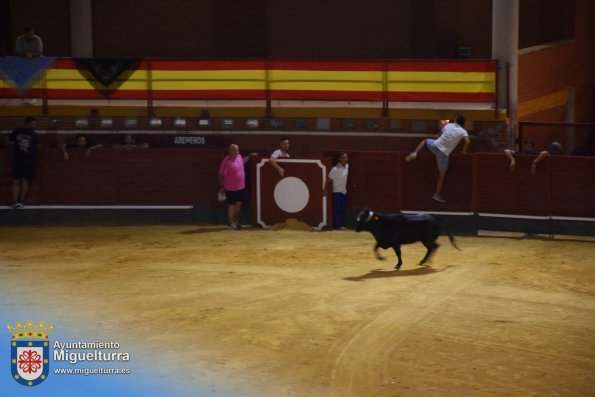 toros y vaquilla ferias 2024-Fuente imagen Area Comunicación Ayuntamiento de Miguelturra-011