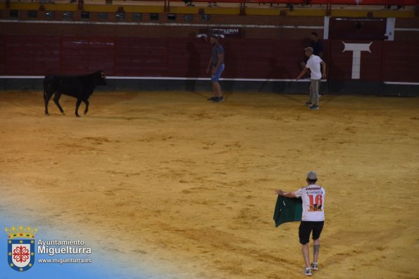 toros y vaquilla ferias 2024-Fuente imagen Area Comunicación Ayuntamiento de Miguelturra-015