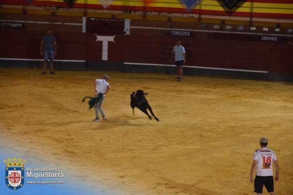 toros y vaquilla ferias 2024-Fuente imagen Area Comunicación Ayuntamiento de Miguelturra-029