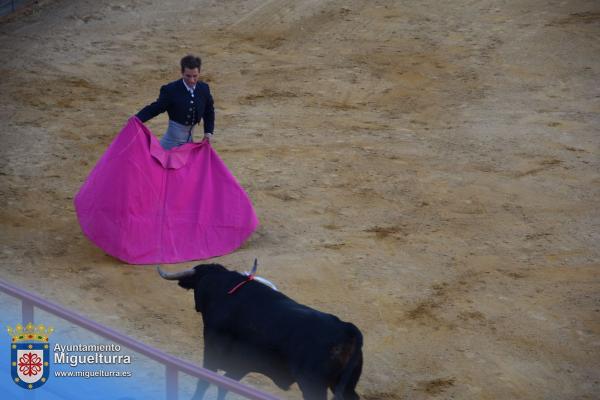 toros y vaquilla ferias 2024-Fuente imagen Area Comunicación Ayuntamiento de Miguelturra-034