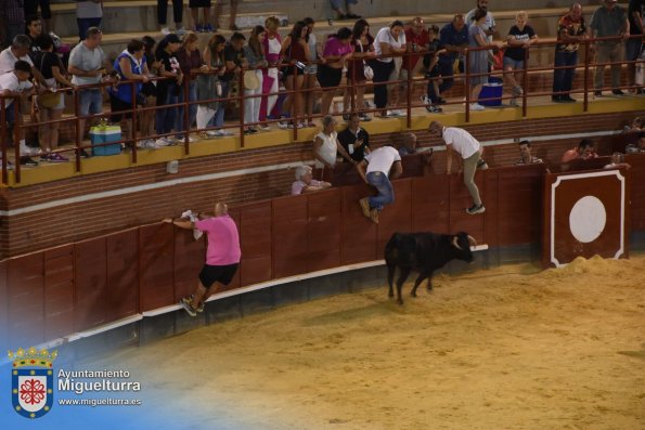 toros y vaquilla ferias 2024-Fuente imagen Area Comunicación Ayuntamiento de Miguelturra-041