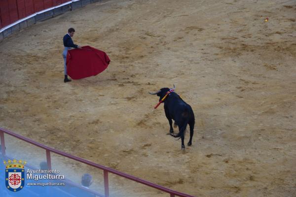 toros y vaquilla ferias 2024-Fuente imagen Area Comunicación Ayuntamiento de Miguelturra-042