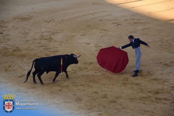 toros y vaquilla ferias 2024-Fuente imagen Area Comunicación Ayuntamiento de Miguelturra-047