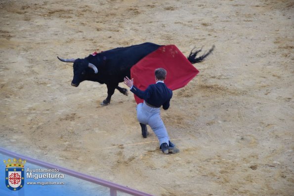 toros y vaquilla ferias 2024-Fuente imagen Area Comunicación Ayuntamiento de Miguelturra-049