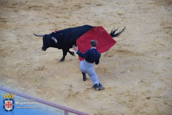 toros y vaquilla ferias 2024-Fuente imagen Area Comunicación Ayuntamiento de Miguelturra-049