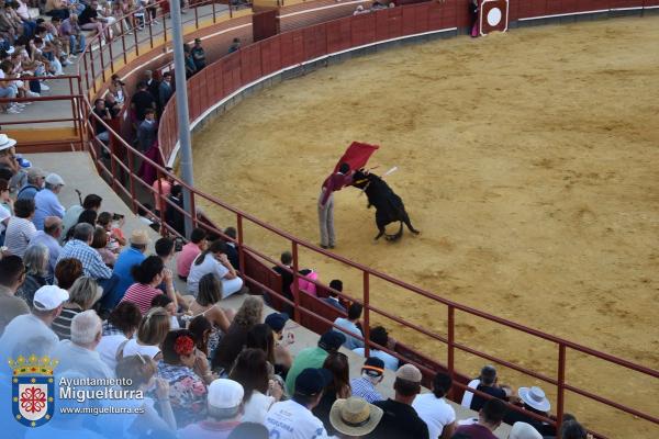 toros y vaquilla ferias 2024-Fuente imagen Area Comunicación Ayuntamiento de Miguelturra-063