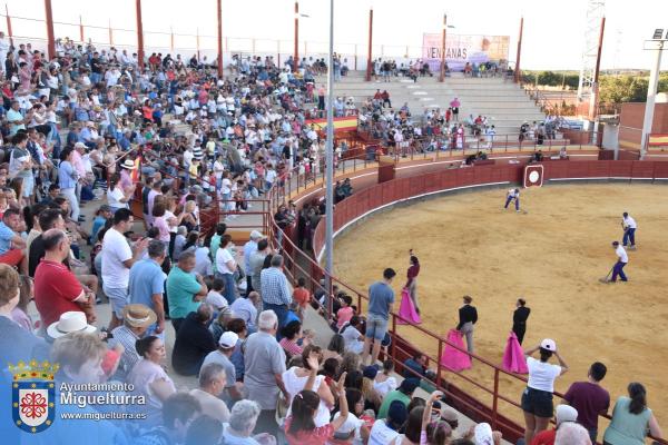 toros y vaquilla ferias 2024-Fuente imagen Area Comunicación Ayuntamiento de Miguelturra-067