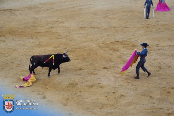 toros y vaquilla ferias 2024-Fuente imagen Area Comunicación Ayuntamiento de Miguelturra-075