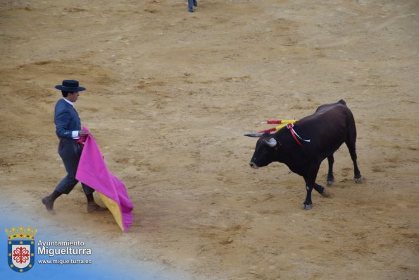 toros y vaquilla ferias 2024-Fuente imagen Area Comunicación Ayuntamiento de Miguelturra-076