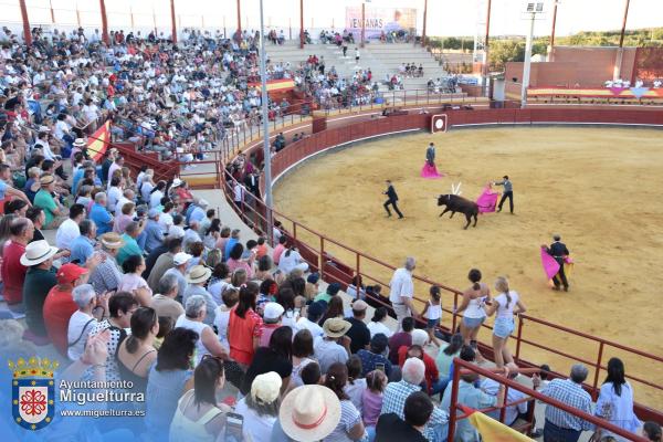 toros y vaquilla ferias 2024-Fuente imagen Area Comunicación Ayuntamiento de Miguelturra-078