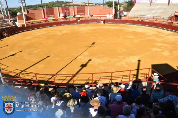 toros y vaquilla ferias 2024-Fuente imagen Area Comunicación Ayuntamiento de Miguelturra-101