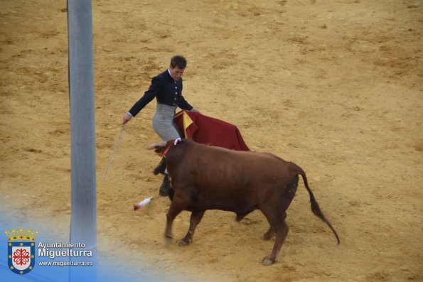 toros y vaquilla ferias 2024-Fuente imagen Area Comunicación Ayuntamiento de Miguelturra-104