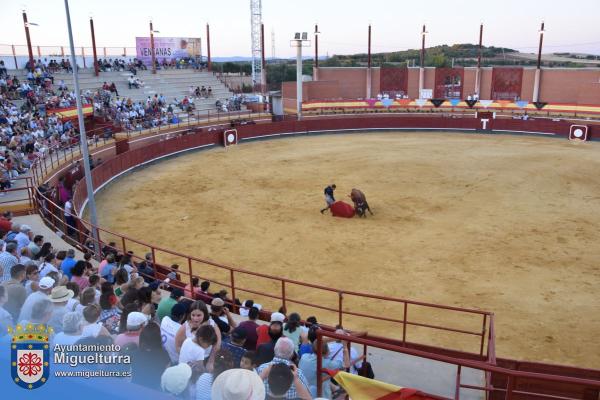 toros y vaquilla ferias 2024-Fuente imagen Area Comunicación Ayuntamiento de Miguelturra-107