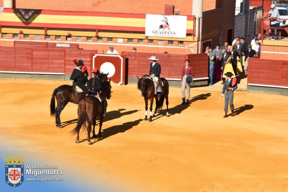 toros y vaquilla ferias 2024-Fuente imagen Area Comunicación Ayuntamiento de Miguelturra-111