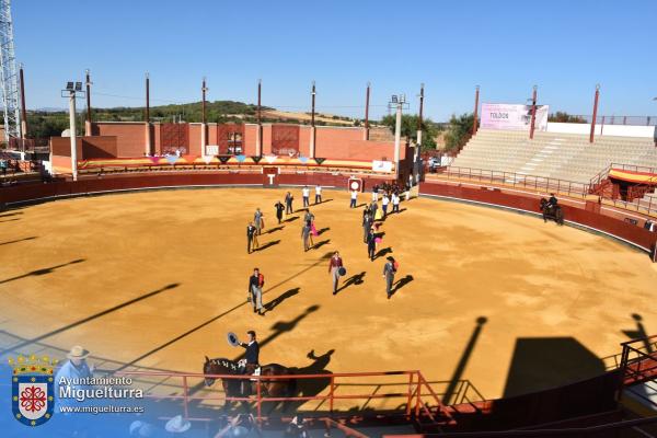 toros y vaquilla ferias 2024-Fuente imagen Area Comunicación Ayuntamiento de Miguelturra-115