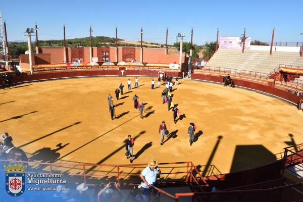 toros y vaquilla ferias 2024-Fuente imagen Area Comunicación Ayuntamiento de Miguelturra-117