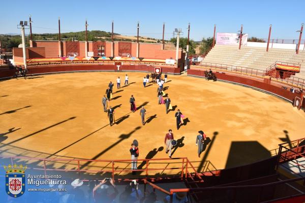 toros y vaquilla ferias 2024-Fuente imagen Area Comunicación Ayuntamiento de Miguelturra-118