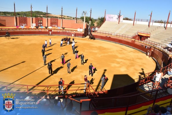 toros y vaquilla ferias 2024-Fuente imagen Area Comunicación Ayuntamiento de Miguelturra-119