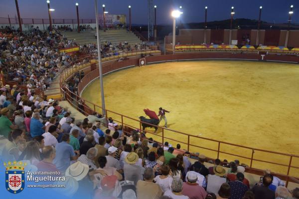 toros y vaquilla ferias 2024-Fuente imagen Area Comunicación Ayuntamiento de Miguelturra-140