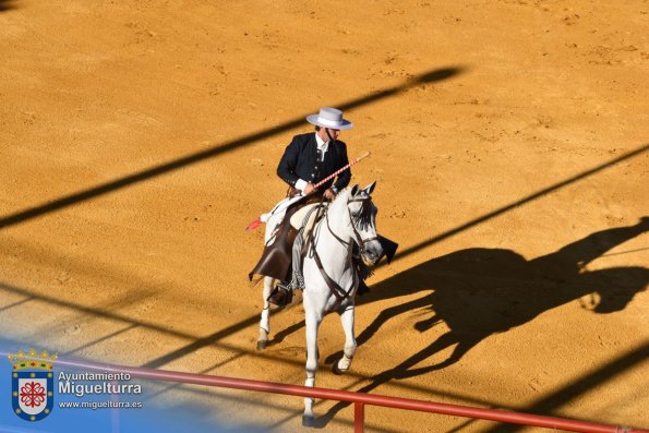 toros y vaquilla ferias 2024-Fuente imagen Area Comunicación Ayuntamiento de Miguelturra-145