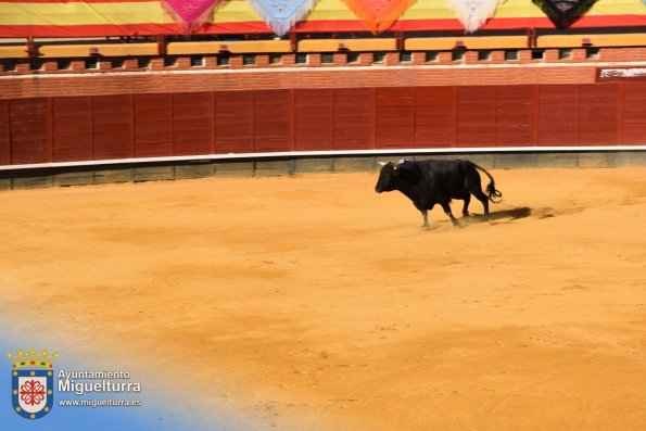 toros y vaquilla ferias 2024-Fuente imagen Area Comunicación Ayuntamiento de Miguelturra-147