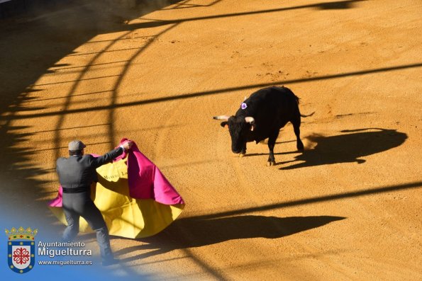 toros y vaquilla ferias 2024-Fuente imagen Area Comunicación Ayuntamiento de Miguelturra-149