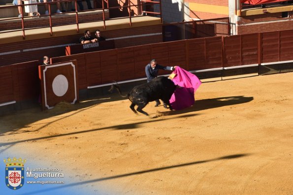 toros y vaquilla ferias 2024-Fuente imagen Area Comunicación Ayuntamiento de Miguelturra-152