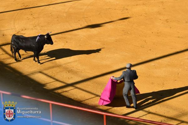 toros y vaquilla ferias 2024-Fuente imagen Area Comunicación Ayuntamiento de Miguelturra-154