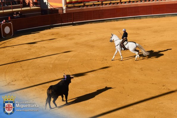 toros y vaquilla ferias 2024-Fuente imagen Area Comunicación Ayuntamiento de Miguelturra-155