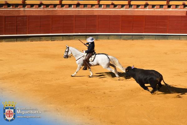 toros y vaquilla ferias 2024-Fuente imagen Area Comunicación Ayuntamiento de Miguelturra-157