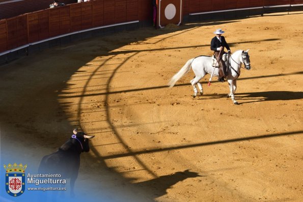 toros y vaquilla ferias 2024-Fuente imagen Area Comunicación Ayuntamiento de Miguelturra-163