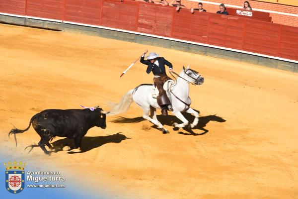 toros y vaquilla ferias 2024-Fuente imagen Area Comunicación Ayuntamiento de Miguelturra-164