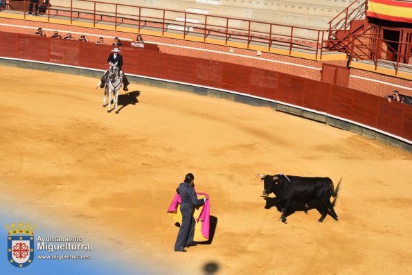 toros y vaquilla ferias 2024-Fuente imagen Area Comunicación Ayuntamiento de Miguelturra-165