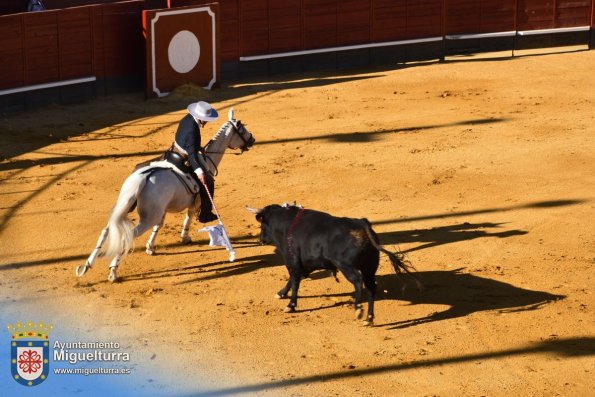 toros y vaquilla ferias 2024-Fuente imagen Area Comunicación Ayuntamiento de Miguelturra-168