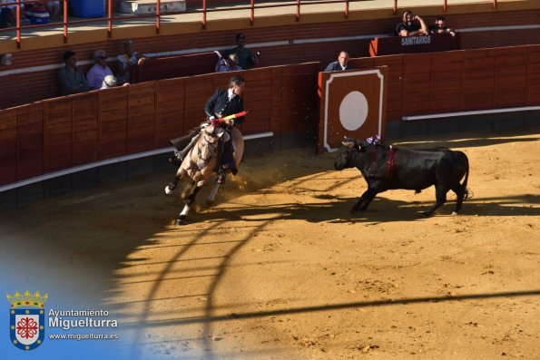 toros y vaquilla ferias 2024-Fuente imagen Area Comunicación Ayuntamiento de Miguelturra-169