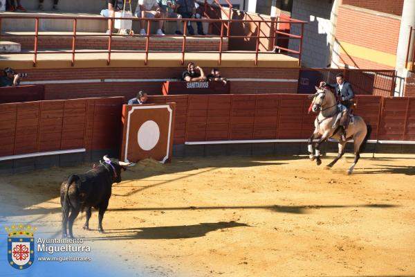 toros y vaquilla ferias 2024-Fuente imagen Area Comunicación Ayuntamiento de Miguelturra-170