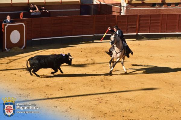 toros y vaquilla ferias 2024-Fuente imagen Area Comunicación Ayuntamiento de Miguelturra-171