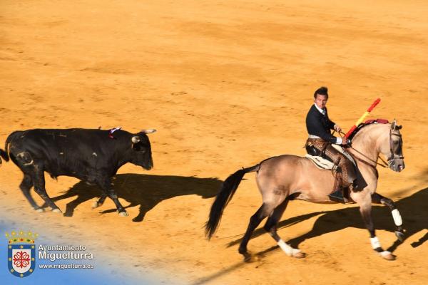 toros y vaquilla ferias 2024-Fuente imagen Area Comunicación Ayuntamiento de Miguelturra-172