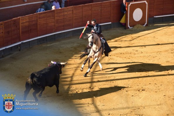 toros y vaquilla ferias 2024-Fuente imagen Area Comunicación Ayuntamiento de Miguelturra-174