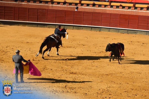 toros y vaquilla ferias 2024-Fuente imagen Area Comunicación Ayuntamiento de Miguelturra-183